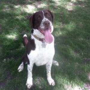 Meet your Posher, Libby